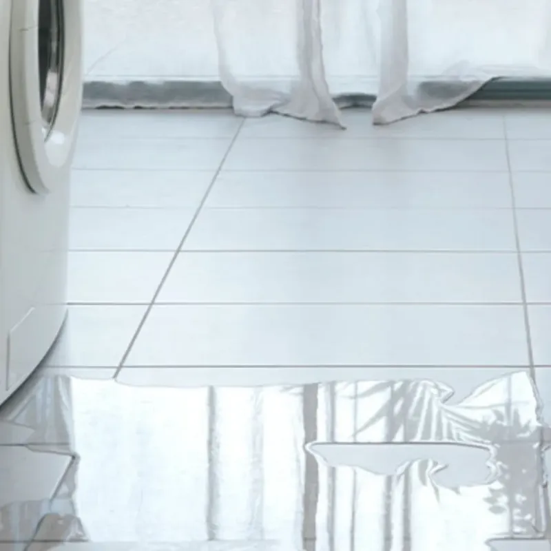 Appliance Leak Cleanup in Red Lake County, MN