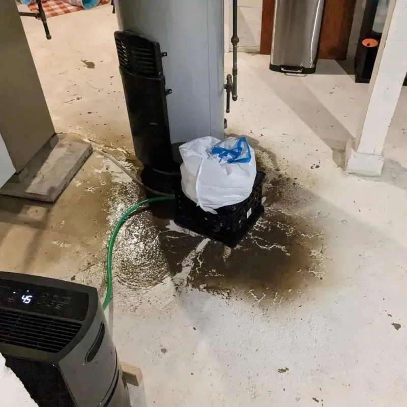 Sewage Backup Cleanup Service in Red Lake County, MN